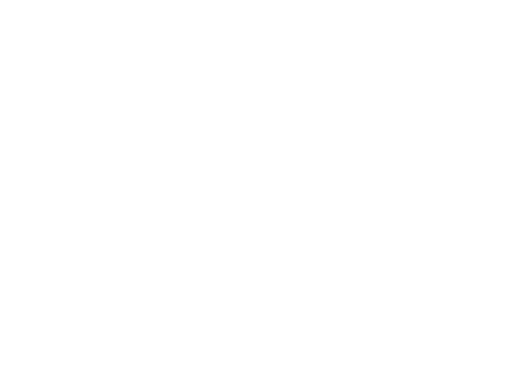 Promex logo